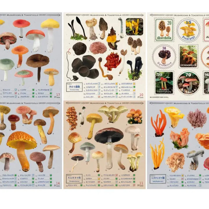 [BUNJANG] Unknown Mushroom Encyclopedia Sticker Book / 식독불명 버섯 도감 씰 스티커북 다꾸