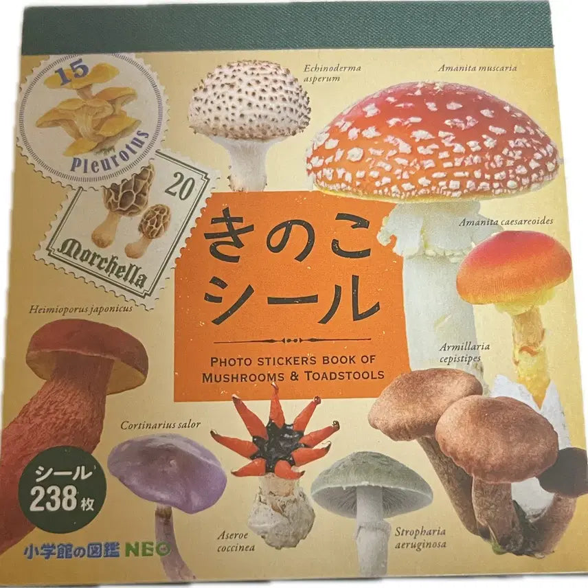 [BUNJANG] Unknown Mushroom Encyclopedia Sticker Book / 식독불명 버섯 도감 씰 스티커북 다꾸