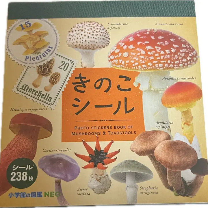 [BUNJANG] Unknown Mushroom Encyclopedia Sticker Book / 식독불명 버섯 도감 씰 스티커북 다꾸