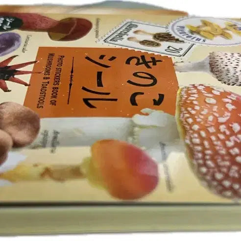 [BUNJANG] Unknown Mushroom Encyclopedia Sticker Book / 식독불명 버섯 도감 씰 스티커북 다꾸