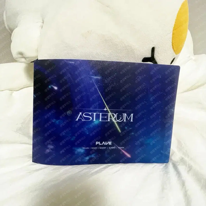 [BUNJANG] PLAVE Hologram Big Photocard Bundle Set / [일괄]플레이브 빅포카 4종+바인더+택