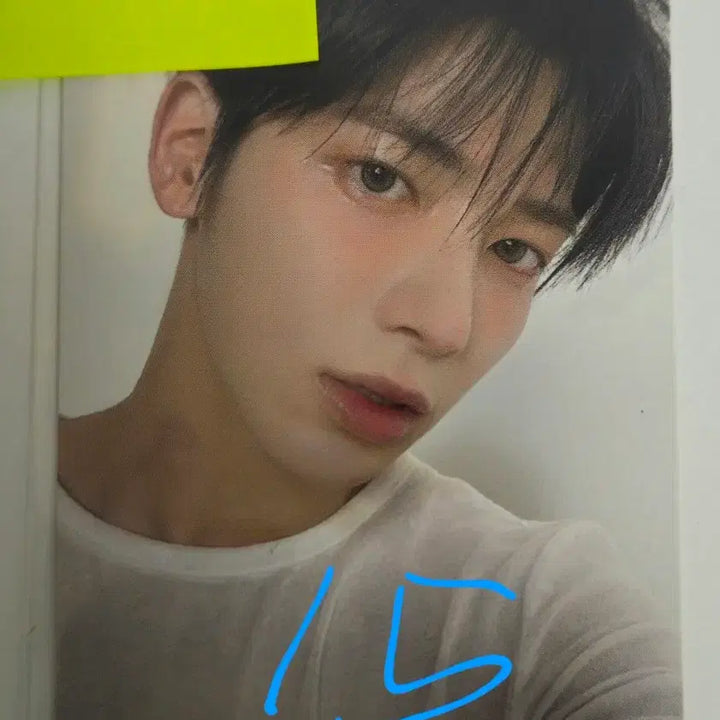 [BUNJANG] TXT Photocard Bundle Set / 투바투 포토카드 일괄 판매