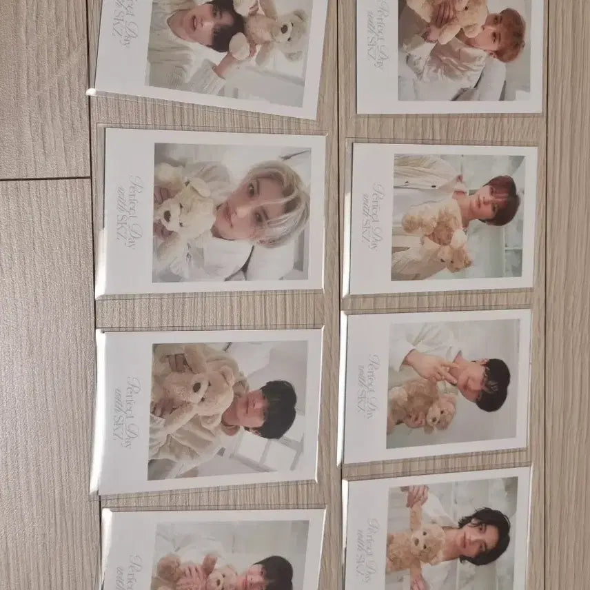 스키즈 24시즌그리팅 짭폴라