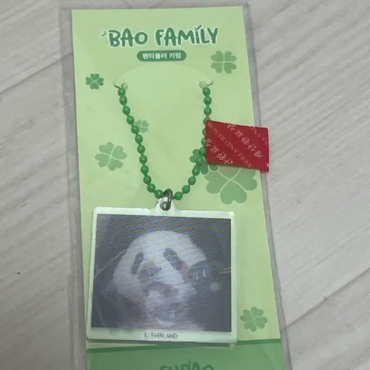 [BUNJANG] Everland Fu Bao Lenticular Keyring / 푸바오 키링