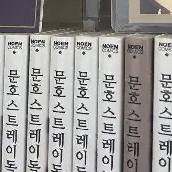 [BUNJANG] Bungo Stray Dogs Manga Bundle Set / 문호 스트레이독스 원작 만화책 일괄 판매