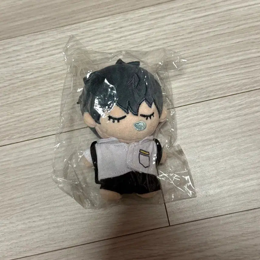 [BUNJANG] Gabage Time Choi Jongsu Plush Doll / 새상품) 가비지타임 최종수 작뿡인형 (+카드 덤)