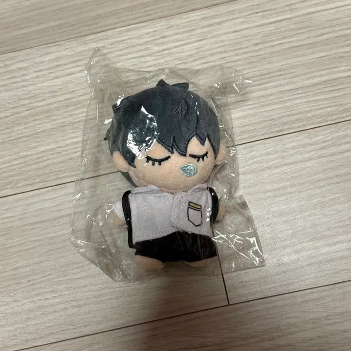 [BUNJANG] Gabage Time Choi Jongsu Plush Doll / 새상품) 가비지타임 최종수 작뿡인형 (+카드 덤)