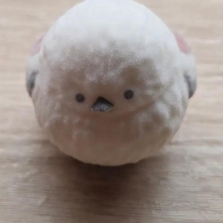 [BUNJANG] Vapsae Fortune Gacha / 운세가 들어있는 뱁새 가챠