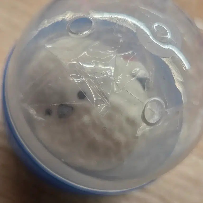 [BUNJANG] Vapsae Fortune Gacha / 운세가 들어있는 뱁새 가챠