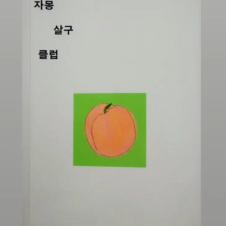 [BUNJANG] Grapefruit Apricot Club / 자몽살구클럽