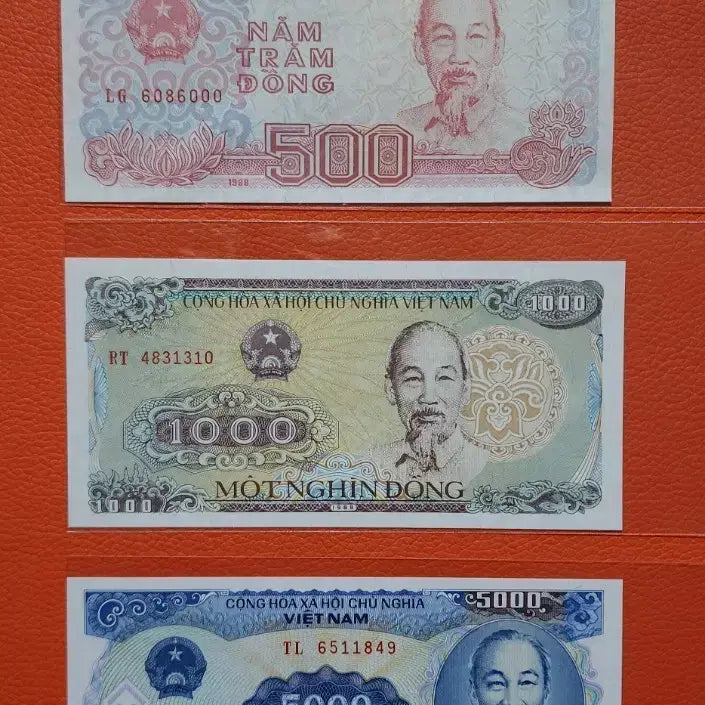 [BUNJANG] Vietnam Dong Banknotes (500, 1000, 5000) Bundle / 베트남 동 화폐 500/1000/5000 동 지폐
