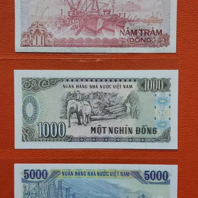 [BUNJANG] Vietnam Dong Banknotes (500, 1000, 5000) Bundle / 베트남 동 화폐 500/1000/5000 동 지폐