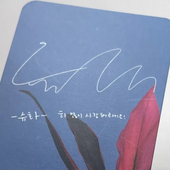 [BUNJANG] (G)I-DLE Minnie Shuhua Photocard Bundle Set / 여자아이들 민니 슈화 포카 포토카드 일괄 아이들