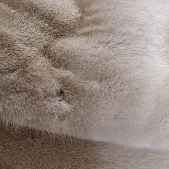 [BUNJANG] Dongwoo Fur Mink Vest / 동우 모피 밍크베스트