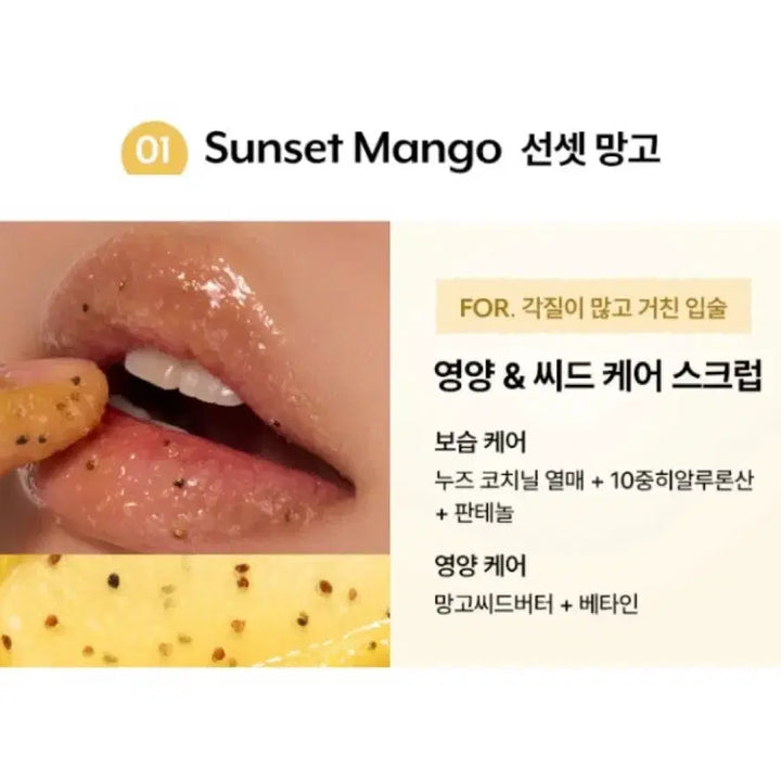 [BUNJANG] Nuse Sunset Mango Lip Scrub Set / 누즈 씨앗 케어 립 스크럽 01 선셋망고