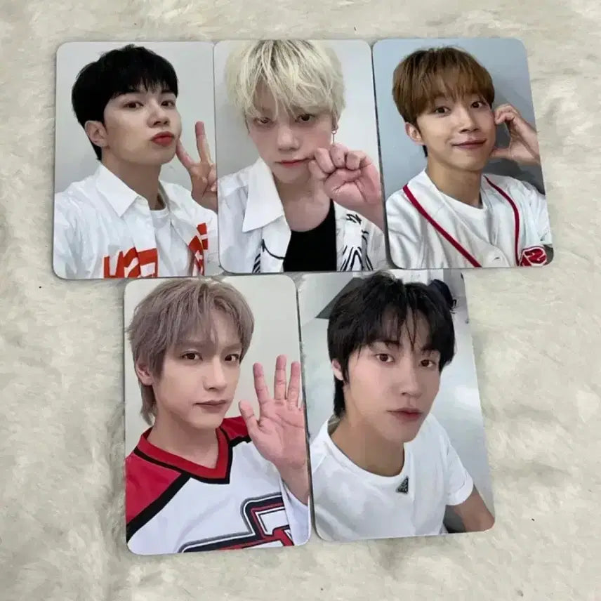 엔플라잉 에버라인 미공포 포카 세트