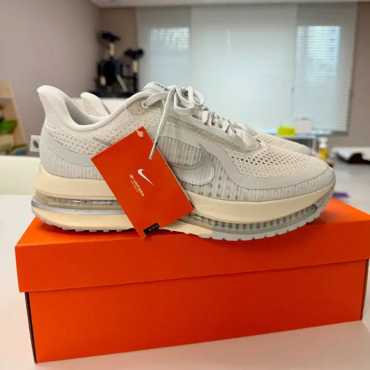 [BUNJANG] Pegasus Premium 270 Shoes / 페가수스 프리미엄 270