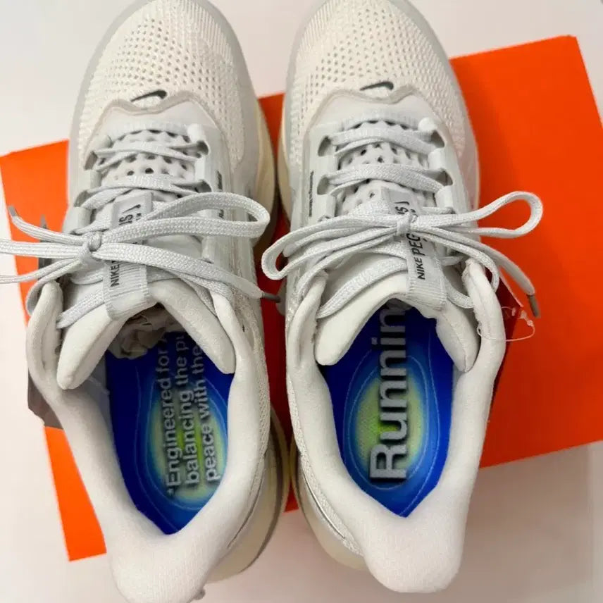 [BUNJANG] Pegasus Premium 270 Shoes / 페가수스 프리미엄 270