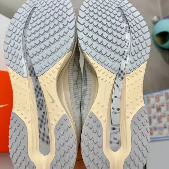 [BUNJANG] Pegasus Premium 270 Shoes / 페가수스 프리미엄 270