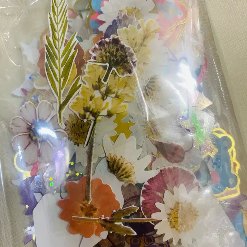 [BUNJANG] Assorted Stationery Packaging Supplies / 포장봉투,스티커,홀더 등