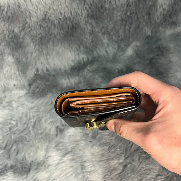 [BUNJANG] Celine Triomphe Wallet / [OS,풀구성품] 셀린느 트리옹프 반지갑