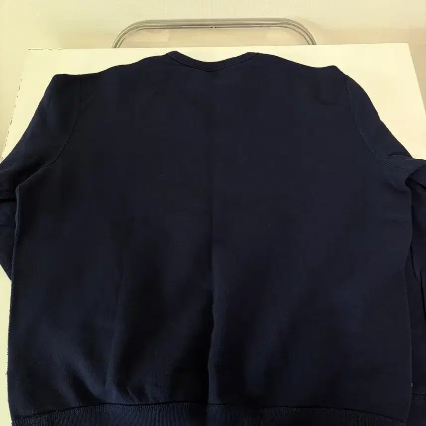 [BUNJANG] Polo Men's Sweatshirt (L) / 폴로 맨투맨(5회 미만 착용)(L)