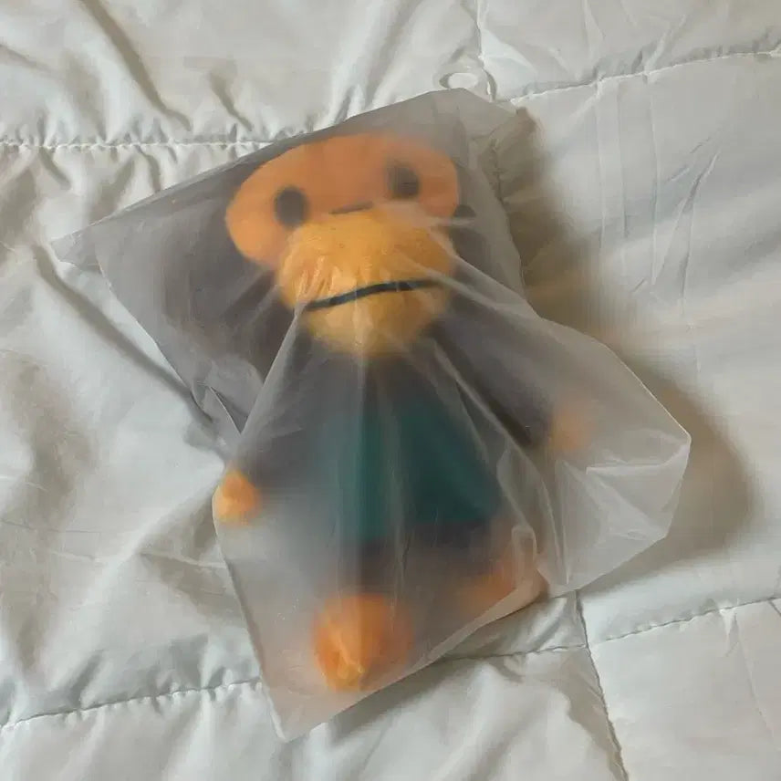 [BUNJANG] Starbucks BAPE Foldable Bag / 스타벅스 베이프 폴더블백