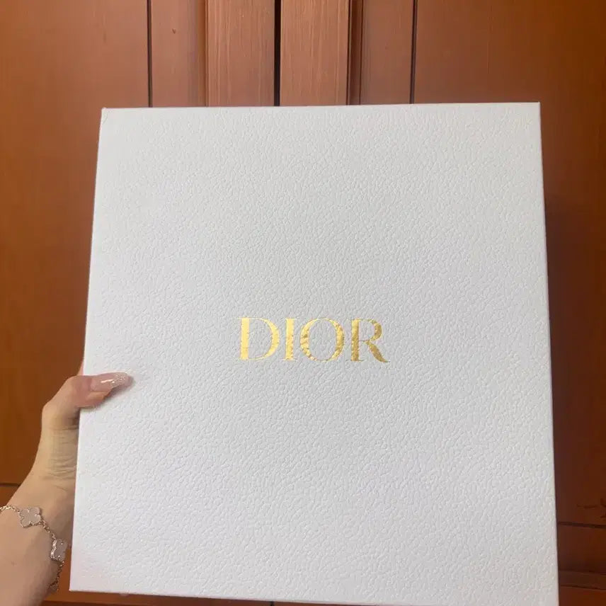 [BUNJANG] Dior Shopping Bag & Shoe Box / 디올 신발 쇼핑백 & 신발상자