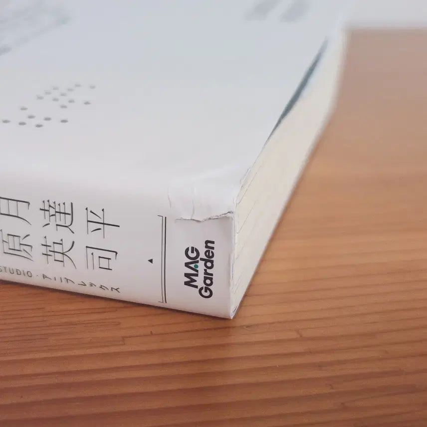 [BUNJANG] Vivy Fluorite Prototype WIT Official Novel Complete Set / 비비 플로라이트 프로토타입 WIT 공식 소설/노벨 전권 세트 Vivy