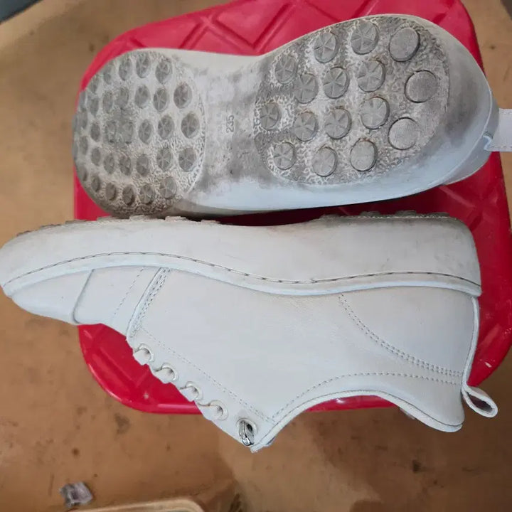 [BUNJANG] Halcyon Ivory Sneakers / 할시온 아이보리 스니커즈