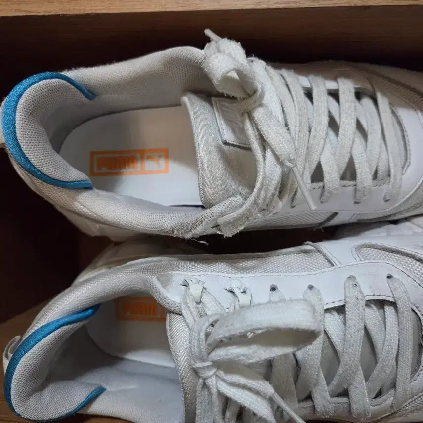 [BUNJANG] Puma Trailfox Leather 270 / 푸마 트레일폭스 레더 270