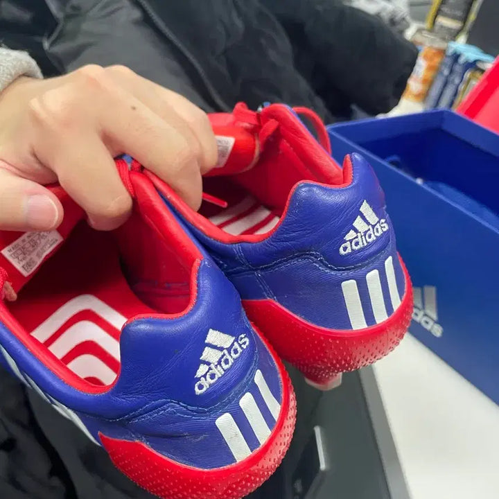 [BUNJANG] Adidas Predator Mania Japan Blue / (250) 아디다스 프레데터 매니아 재팬블루