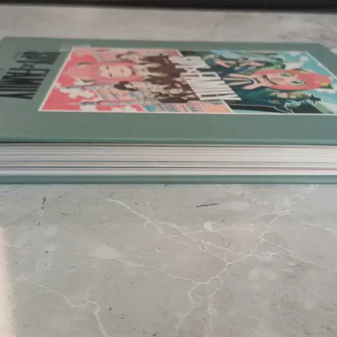 [BUNJANG] Spy x Family Photocard Set / 스파이패밀리 포토카드 모음집