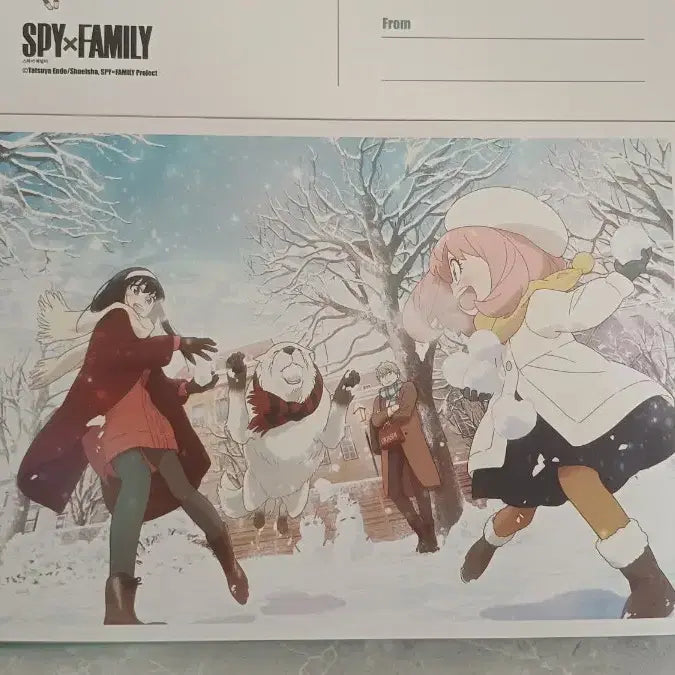 [BUNJANG] Spy x Family Photocard Set / 스파이패밀리 포토카드 모음집