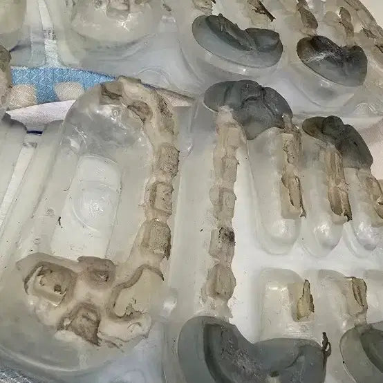 [BUNJANG] Nike Air VaporMax 2019 SE Sneakers / 나이키 바이퍼맥스 2019 se 정품. 255 미리