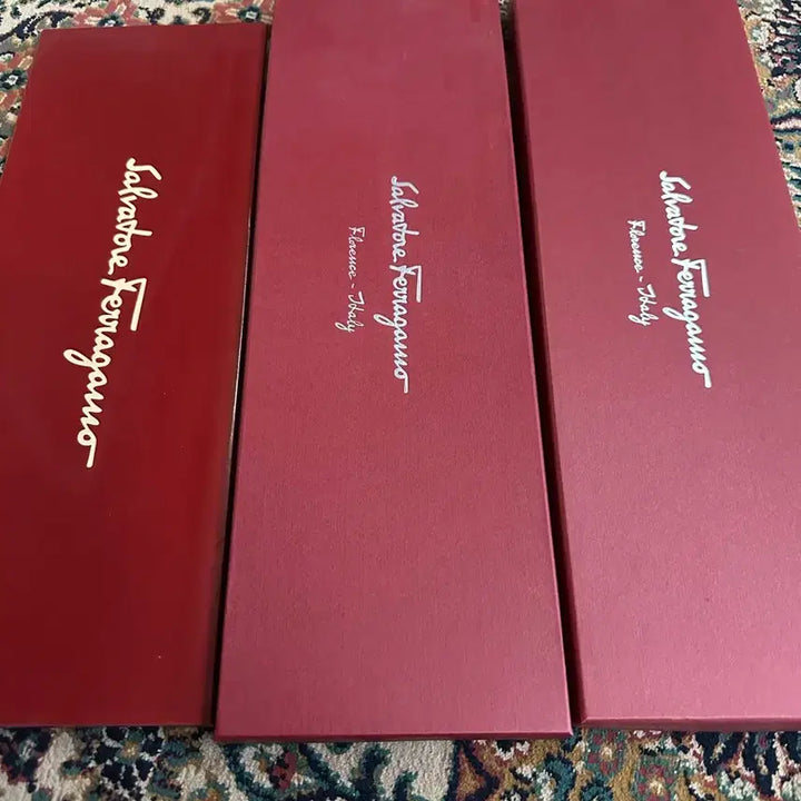 [BUNJANG] Ferragamo Silk Necktie / *새상품 페라가모 미사용 박스 포장 명품 넥타이 악세사리
