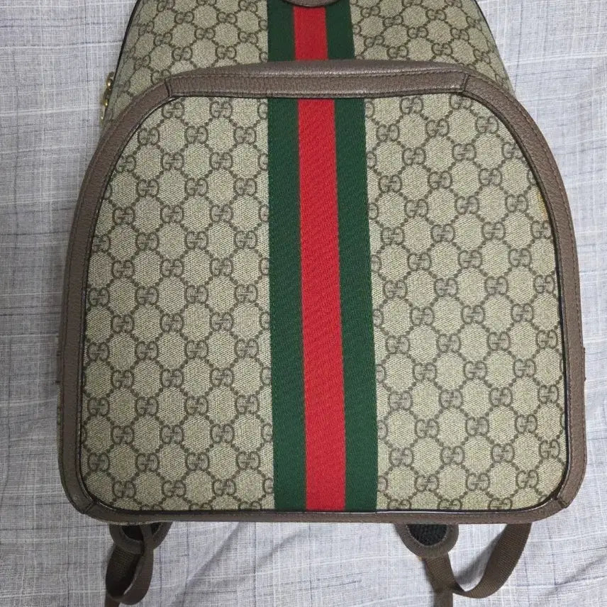 [BUNJANG] GUCCI Ophidia Backpack / 구찌 오피디아 명품 백팩 팝니다. 미디엄사이즈 / 정품 GUCCI