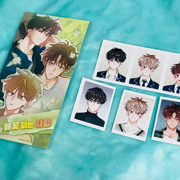 [BUNJANG] Baeggot Love Blooming Proof Photo / 배꽃사 배꽃 피는 사랑 증명사진 증사
