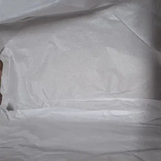 [BUNJANG] Nike Shoes / 나이키 신발