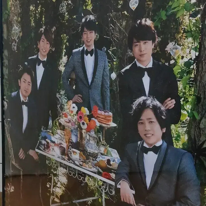 [BUNJANG] Arashi 5x20 Poster / 아라시 5X20 포스터