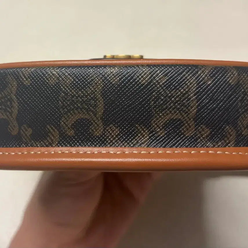 [BUNJANG] Celine Mini Besace Triomphe Canvas Bag / (정품/새상품급)셀린느 미니 베사체 트리옹프 캔버스