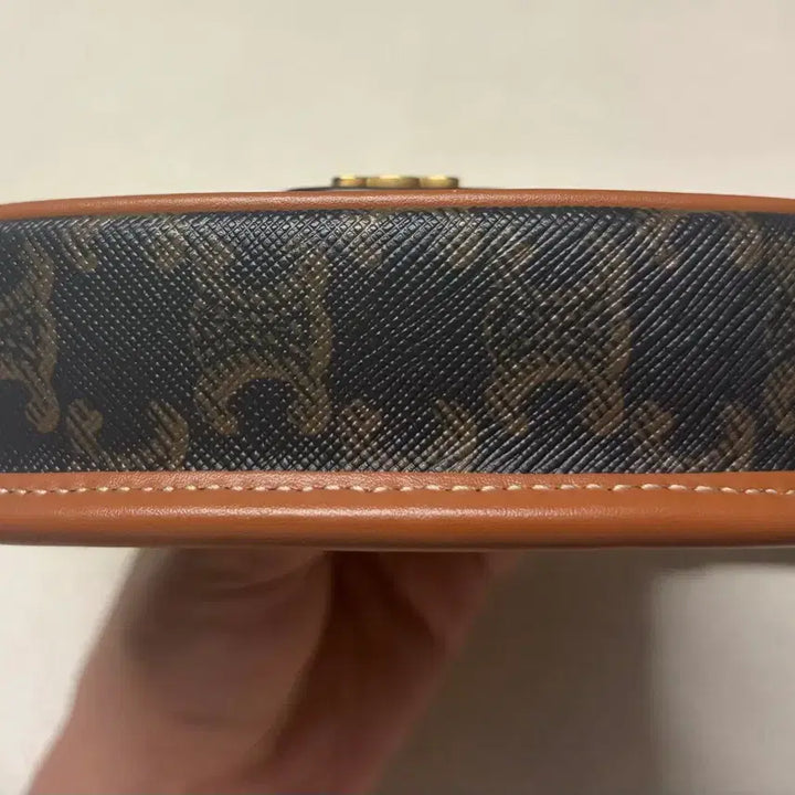 [BUNJANG] Celine Mini Besace Triomphe Canvas Bag / (정품/새상품급)셀린느 미니 베사체 트리옹프 캔버스