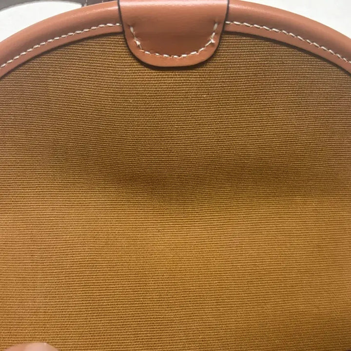 [BUNJANG] Celine Mini Besace Triomphe Canvas Bag / (정품/새상품급)셀린느 미니 베사체 트리옹프 캔버스