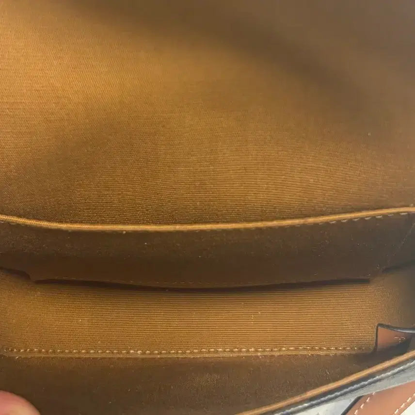 [BUNJANG] Celine Mini Besace Triomphe Canvas Bag / (정품/새상품급)셀린느 미니 베사체 트리옹프 캔버스