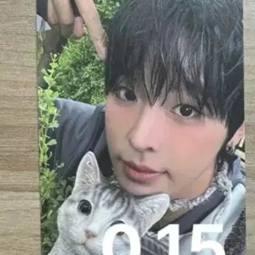 [BUNJANG] NCT WISH Riku Photocard / 엔시티위시 컬러 리쿠 포토카드