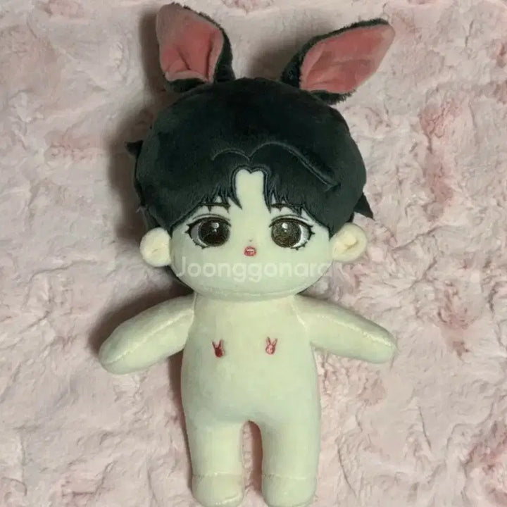 [BUNJANG] Winner Kim Jinwoo Pure Jinu 20cm Doll / 위너 김진우 인형 퓨어지누 솜인형 20cm 솜깅