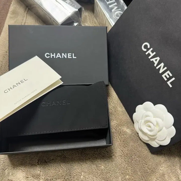 [BUNJANG] Chanel Card Wallet (Silver Hardware) / 샤넬 지퍼돌이 카드지갑 은장 새상품