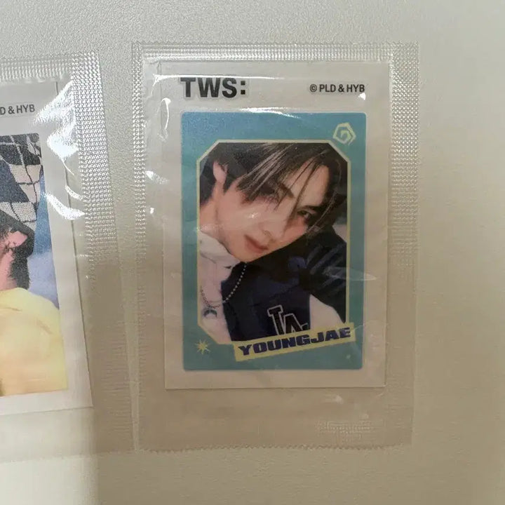 [BUNJANG] TWS Shinyu Youngjae Bundle Set Sticker / 투어스 띠부씰 신유 영재 일괄 우유빵즈