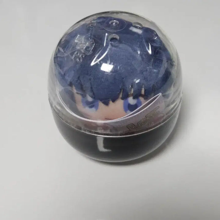 [BUNJANG] Character Chara Tomah Plush / 캐릭캐릭체인지 카푸코프렌즈 누이 토마