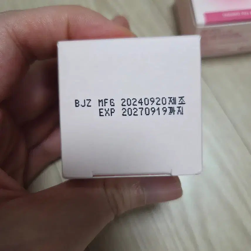 [BUNJANG] Holika Cool Tone 11 The Ning Lip / (새상품)홀리카 쿨톤 립 11더닝